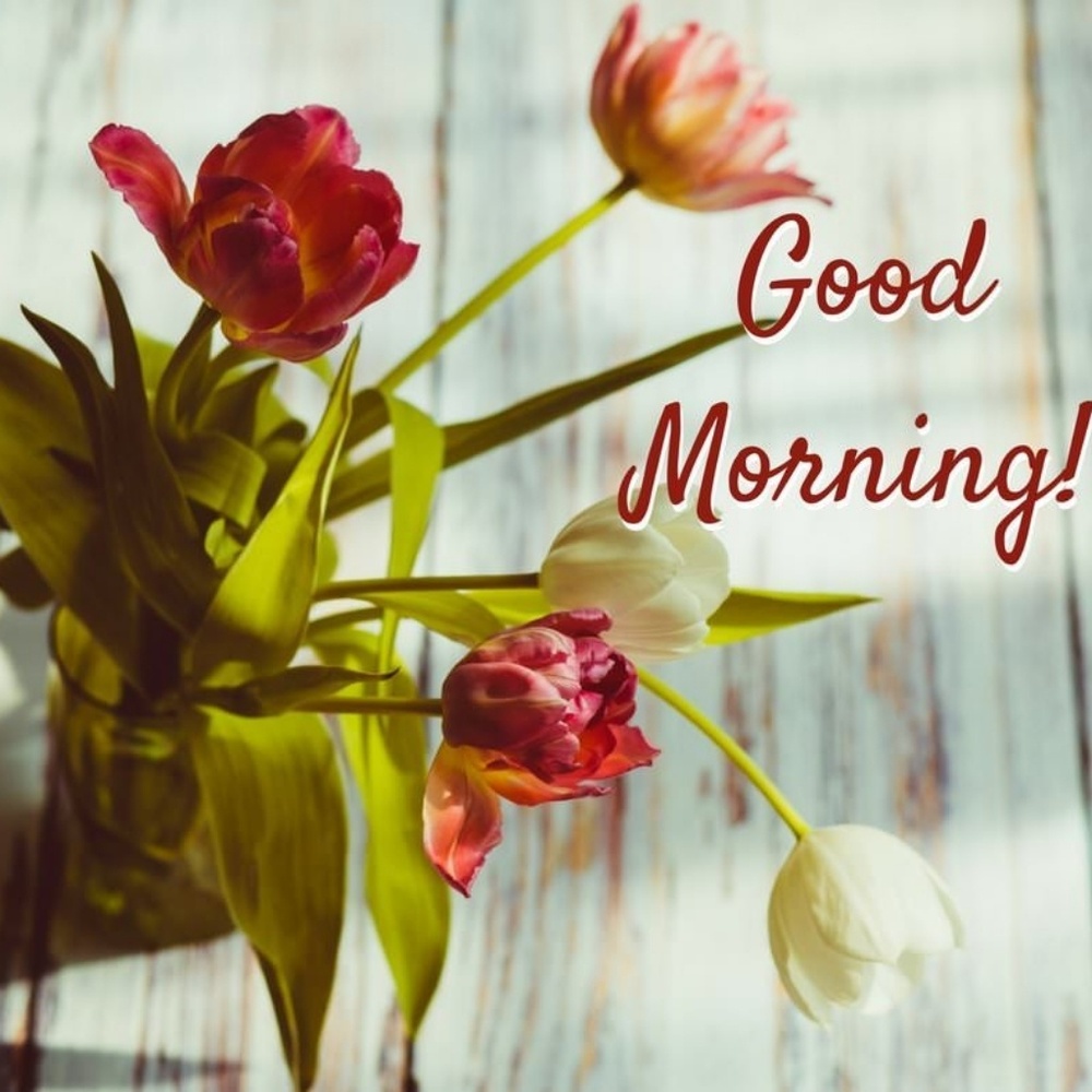 Meet your Posher, Muny